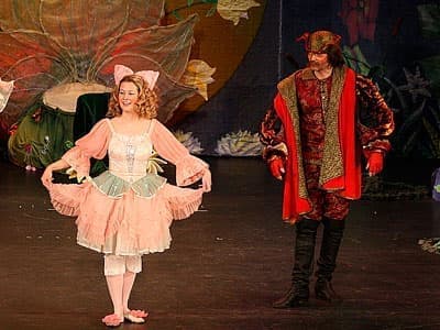 Мюзикл "Дюймовочка" Мюзикл "Дюймовочка"