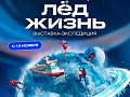 Выставка "Лёд. Жизнь" Выставка "Лёд. Жизнь"