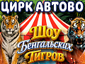 Цирковое шоу "Шоу бенгальских тигров" Цирковое шоу "Шоу бенгальских тигров"