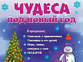 Новогоднее представление "Чудеса под Новый год" Новогоднее представление "Чудеса под Новый год"