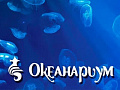 Посещение Океанариума в Санкт-Петербурге Посещение Океанариума в Санкт-Петербурге