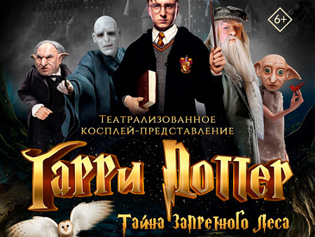 Новогоднее шоу "Гарри Поттер. Тайна запретного леса" Новогоднее шоу "Гарри Поттер. Тайна запретного леса"