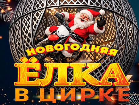 Елка в цирке Автово 2027 Елка в цирке Автово 2027