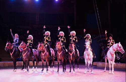 Пингви-шоу "Ласта-рика" Пингви-шоу "Ласта-рика"