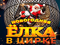 Елка в цирке Автово 2027 Елка в цирке Автово 2027