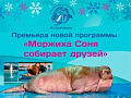 Программа "Моржиха Соня собирает друзей" Программа "Моржиха Соня собирает друзей"